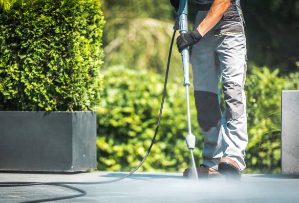 Best Solar Panel Cleaning  in Morristown, TN